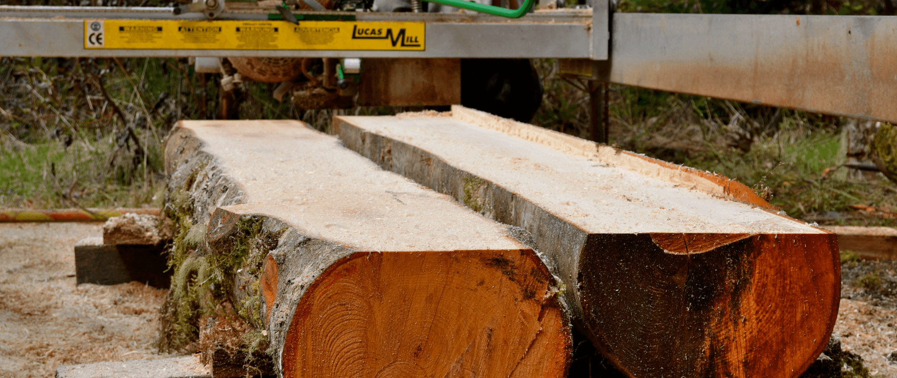 Wondering Which Machine Is Right For You?